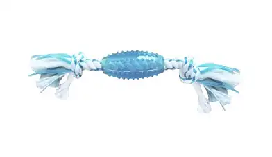 CanineClean игрушка для собак Регби с ароматом мяты, из синтетической резины с канатом, голубая