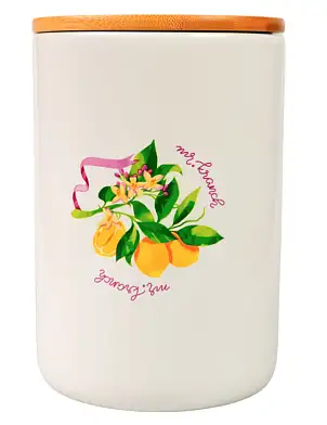 Mr.Kranch Лимоны из Прованса бокс керамический для хранения корма для собак и кошек, белый